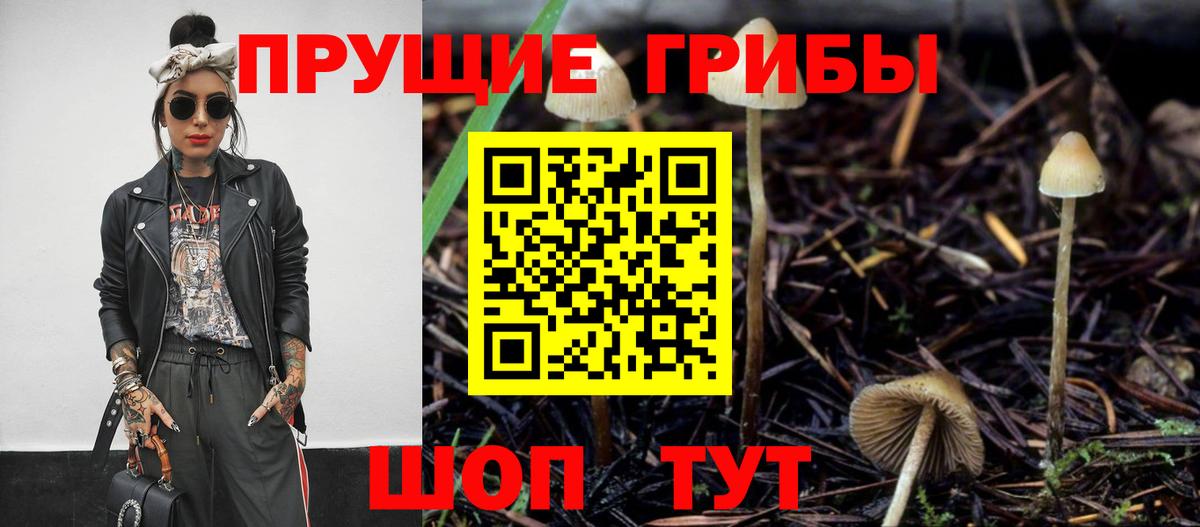 Псилоцибиновые грибы MAGIC MUSHROOMS Димитровград